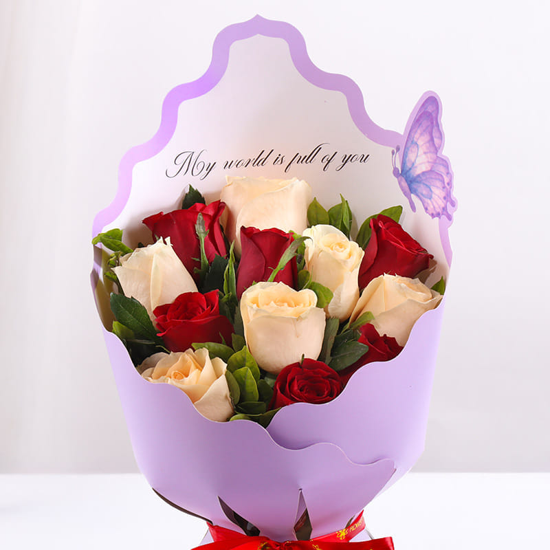 Product Image Video