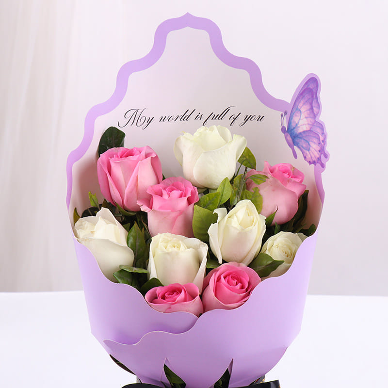 Product Image Video