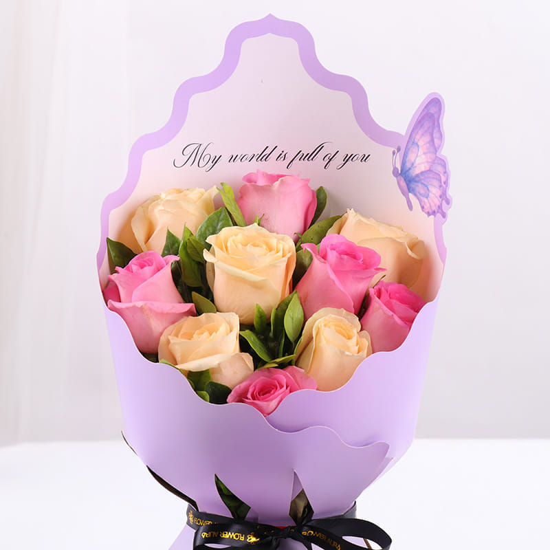 Product Image Video
