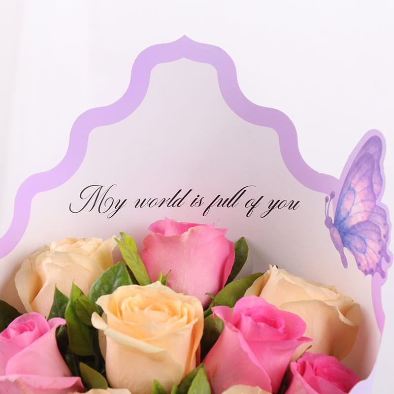 Product Image Video