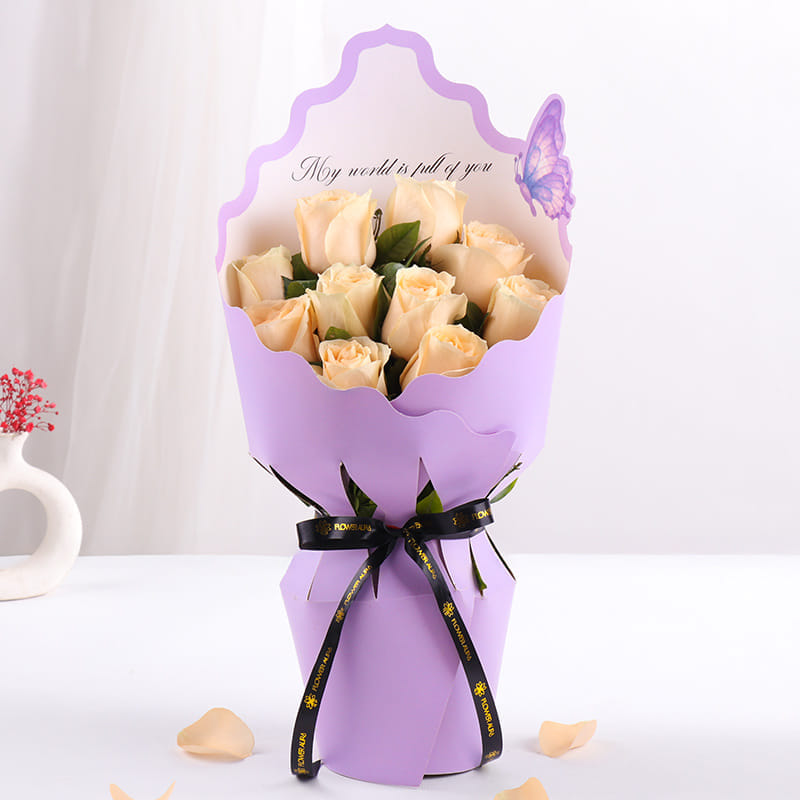 Product Image Video