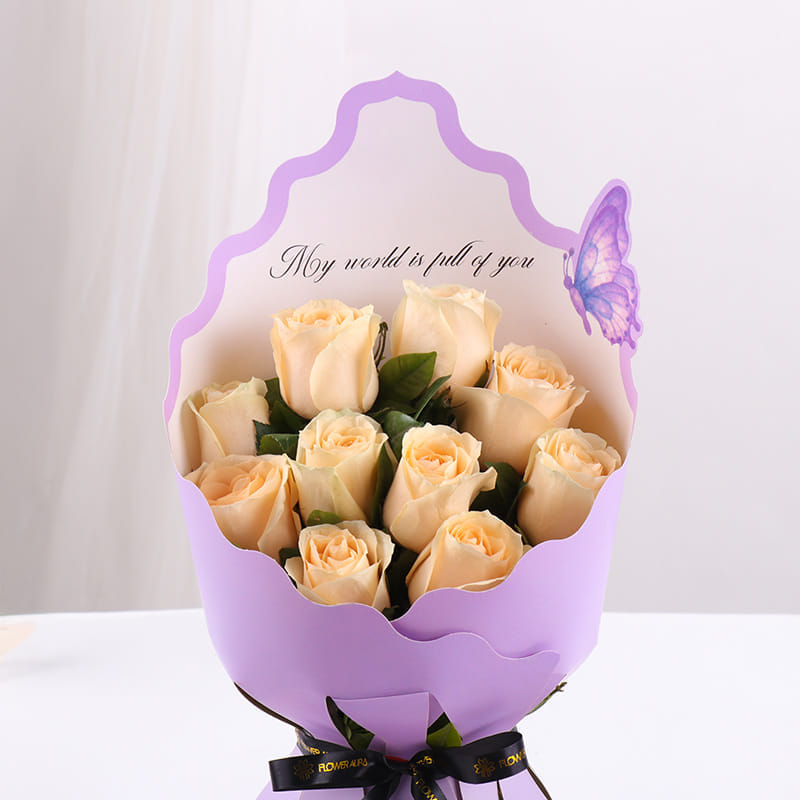 Product Image Video