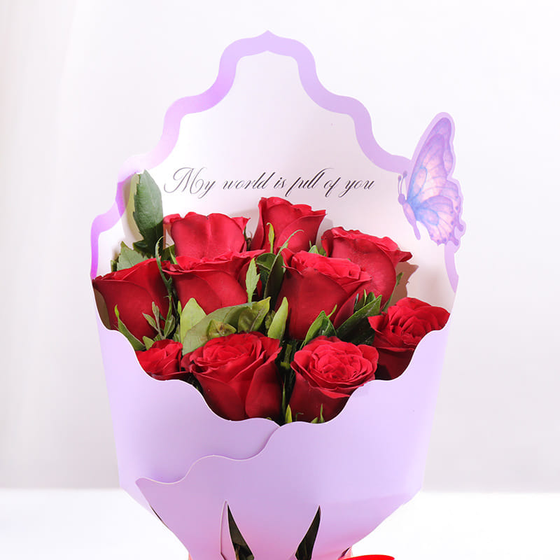 Product Image Video