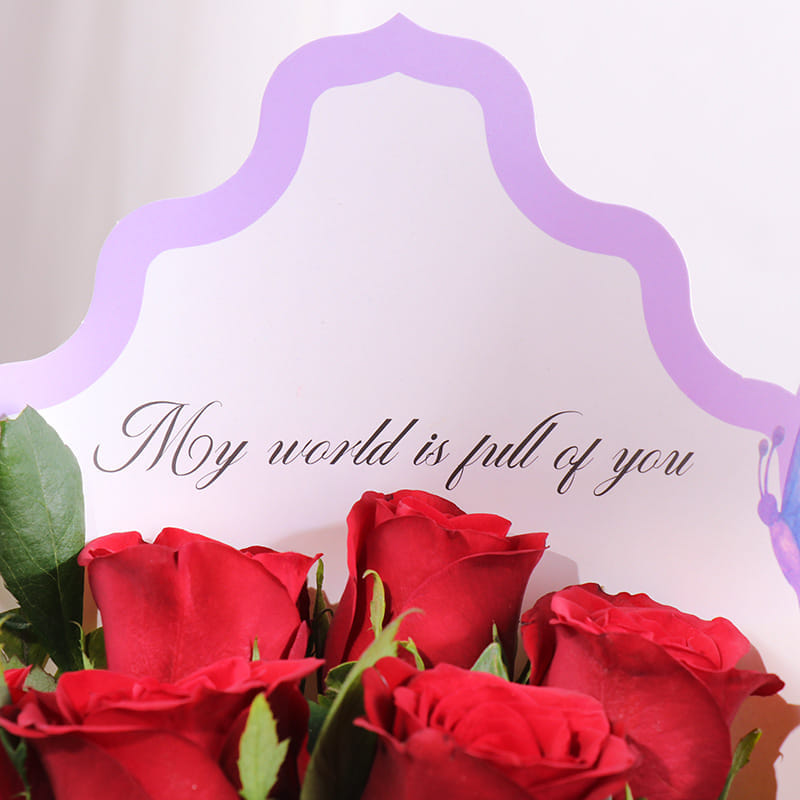 Product Image Video