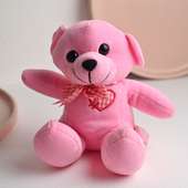 Small Pink Teddy Bear (6)"