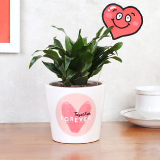 Smiley Heart Dracena Vday Combo
