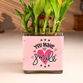 Smiling Bamboo Plant Online in Square Glass Vas