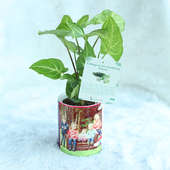 Smog Free Air Purifying Plant - Foliage Plant for Indoor in Personalised Mug Vase