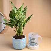 Snow White Aglaonema Plant With Morning Quote Mug