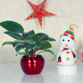 Xmas Combo Gift of Snowman  and Red Philodendron Plant