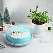 Snowmen Merry Christmas Cake N Jade Plant Combo