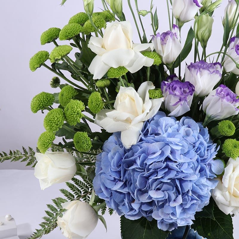 Snowy Wonderland In Bloom