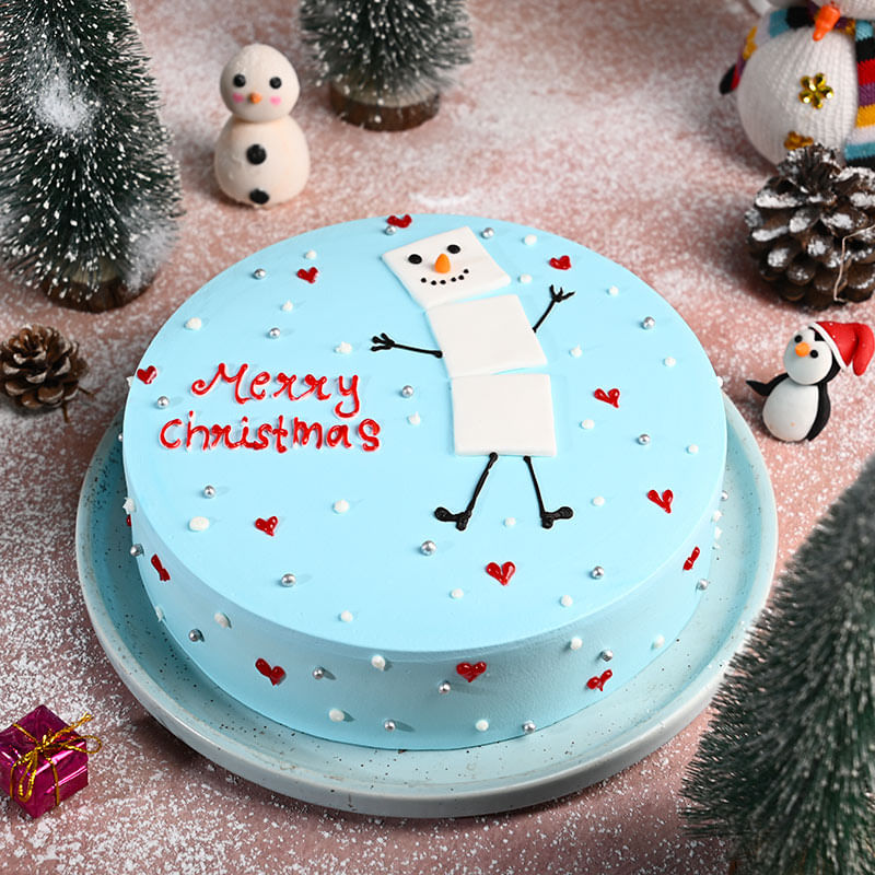 Snowy Xmas Cake