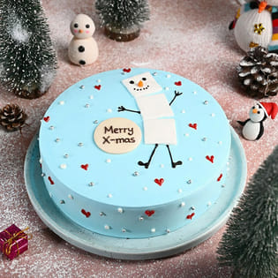 Snowy Xmas Cake