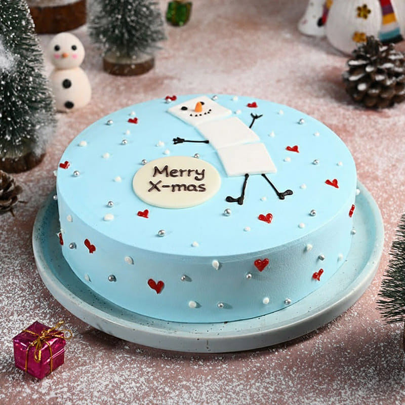 Snowy Xmas Cake