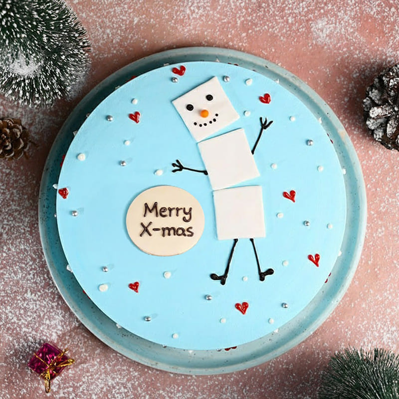 Snowy Xmas Cake