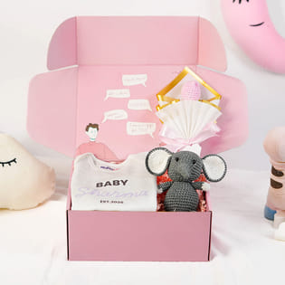 Snuggly Little Baby Gift Hamper