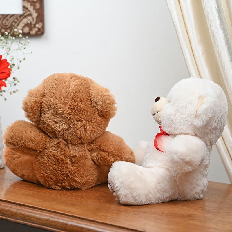 Cute Snuggly Teddy Duo