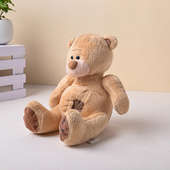 Soft Beige Teddy Bear For Valentine