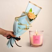 Soft Peach Rose With A Scented Candle