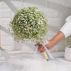 Softly Into Forever With Gypsums