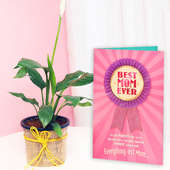 Peace Lily Plant and a Card Combo for Mom