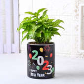 Soulful Syngonium Plant: New year plants