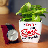 Golden Syngonium Plant and Watch Combo for Dad