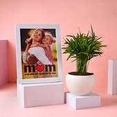 Buy Special Mom Frame with Chamandorea Plant on Mother's Day
