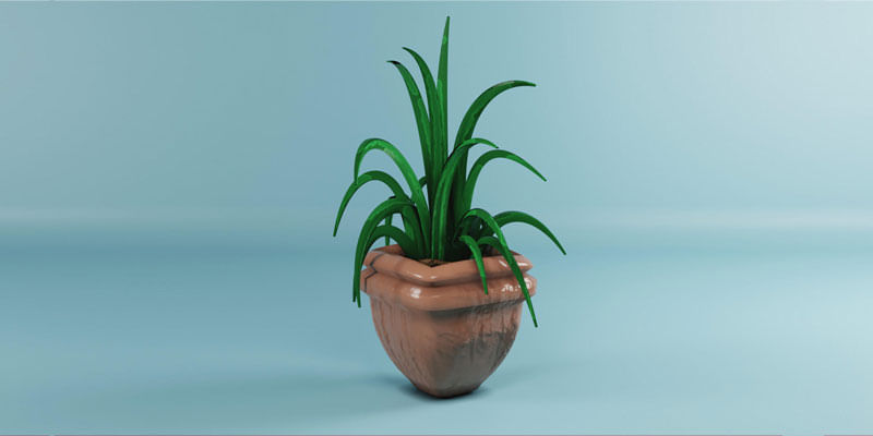 Top 5 Spider Plant Benefits In Hindi