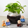 Spiritual Money Plant N Buddhas