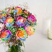 Spotlight On Rainbow Roses