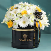 Spring Beauty Cradled In A Box