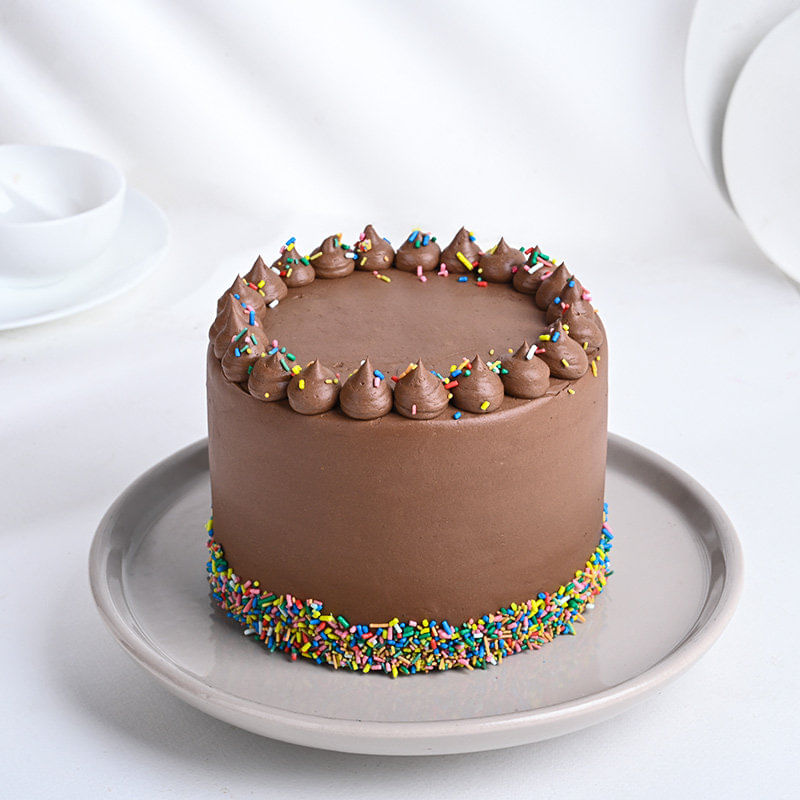 Sprinkled Rainbow Chocolate Cake