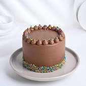 Sprinkled Rainbow Chocolate Cake