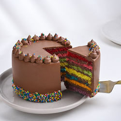 Sprinkled Rainbow Chocolate Cake