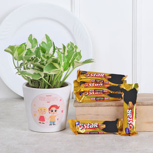 Star Struck Pothos combo