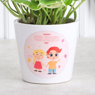 Shop Star Struck Pothos Plant