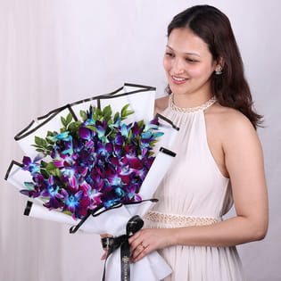 Starlights In Orchids Garden