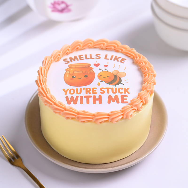 Stuck With Me Bento Cake