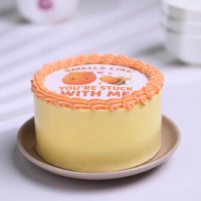 Stuck With Me Bento Cake