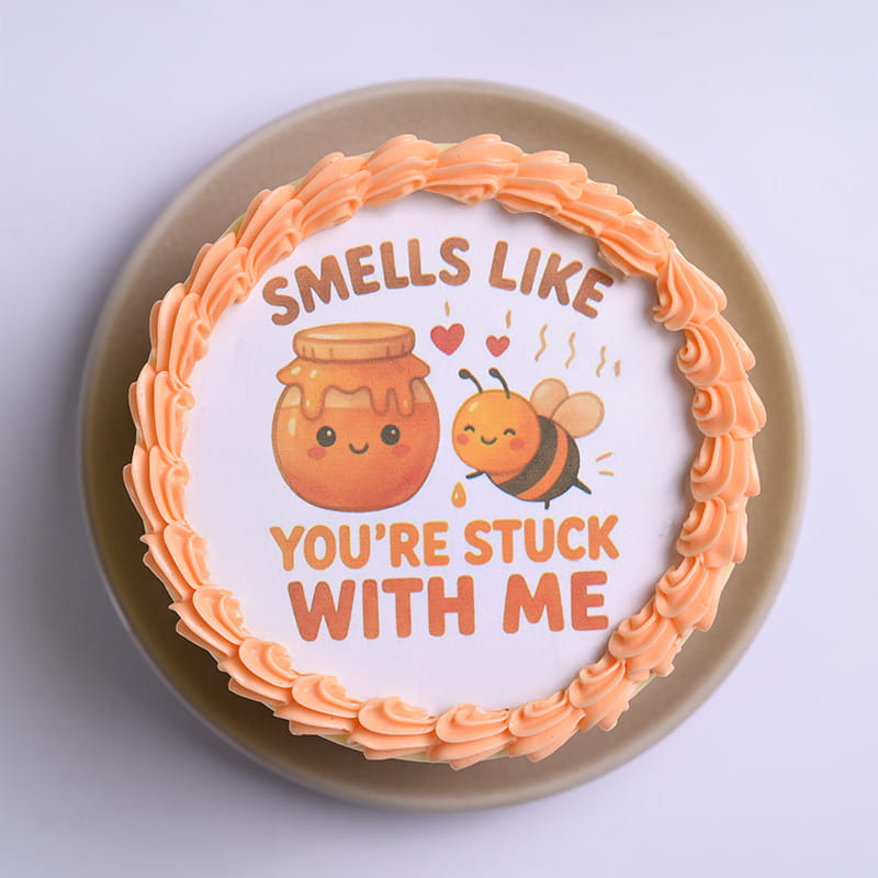 Stuck With Me Bento Cake