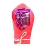 2 Cadbury Dairy Milk Silk (60 gram each)