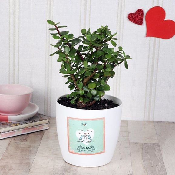Be My Jade This Time