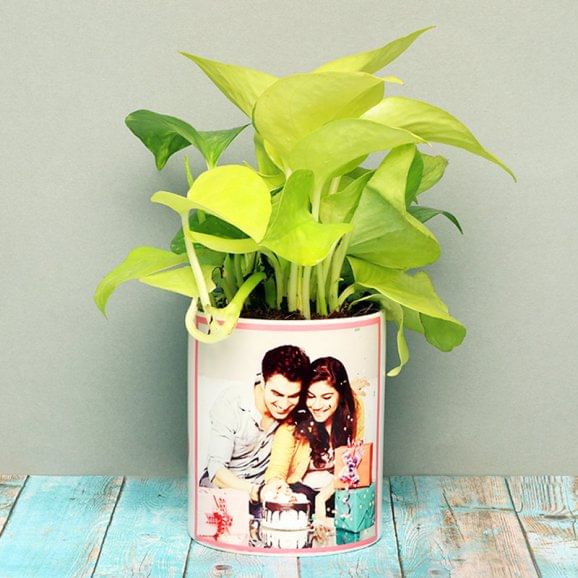 Golden Money Plant in Personalised Birthday Mug