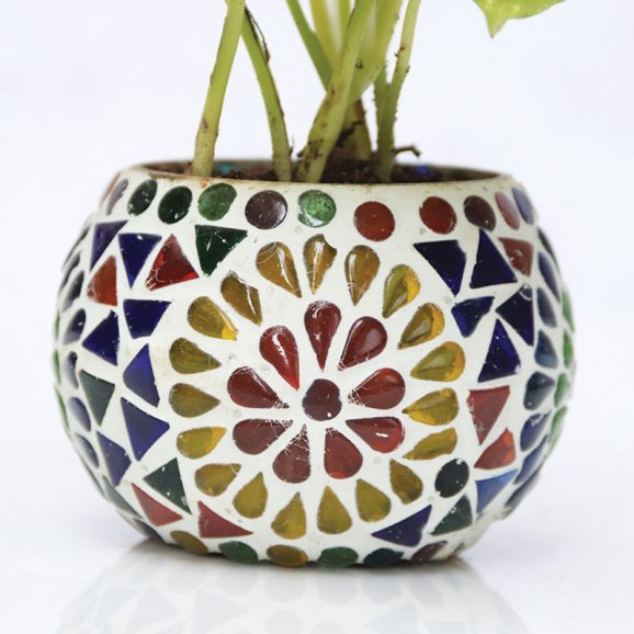Buy Money Plant with Designer Glass Mosaic Vase Online