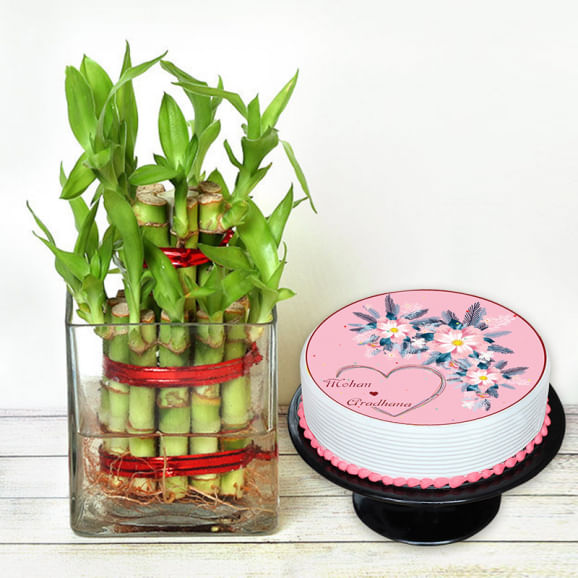 Good Luck Love Cake Combo