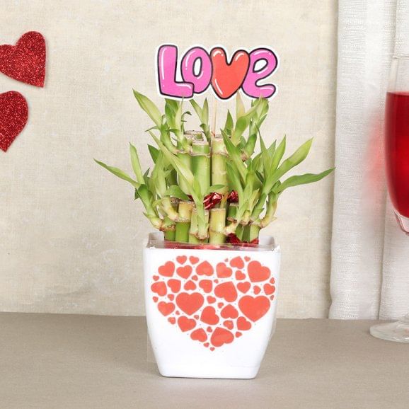 Heart N Love Two Layer Bamboo