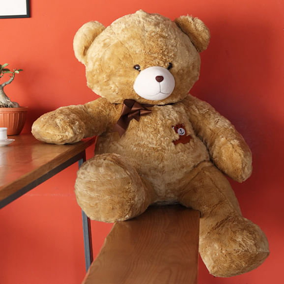 Teddy day