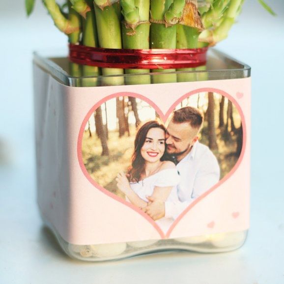 Smiling Bamboo Plant Online in Square Glass Vase